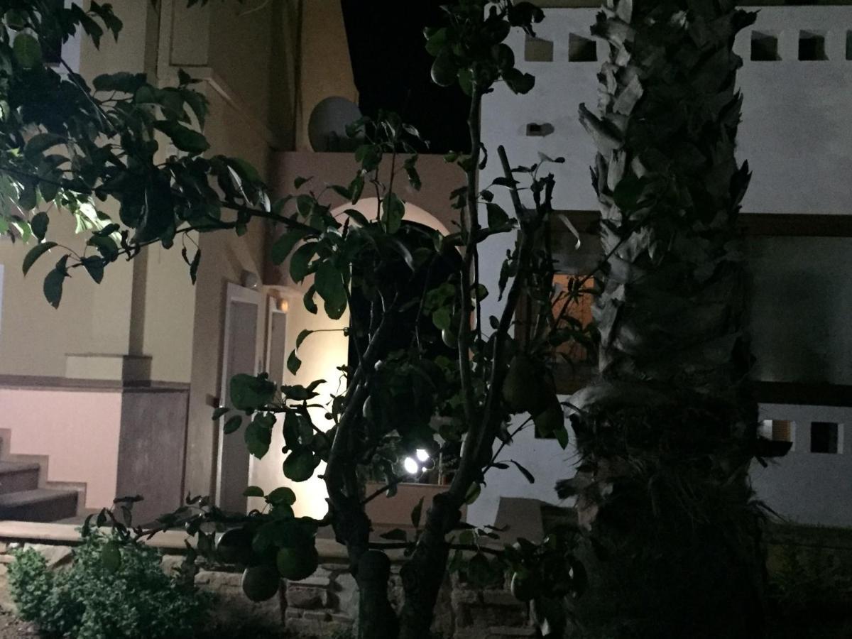 Apartment Toulipa *