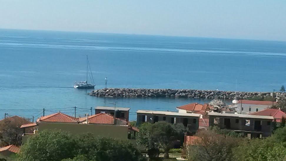 Toulipa * Agia Ermioni